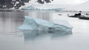 King George Adası - Buz Oluşumları ile Antarktika Kıyı Şeridi