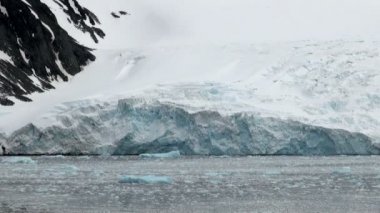 King George Adası - Buz Oluşumları ile Antarktika Kıyı Şeridi