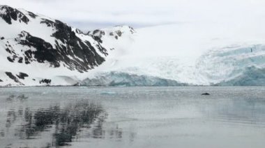 King George Adası - Buz Oluşumları ile Antarktika Kıyı Şeridi
