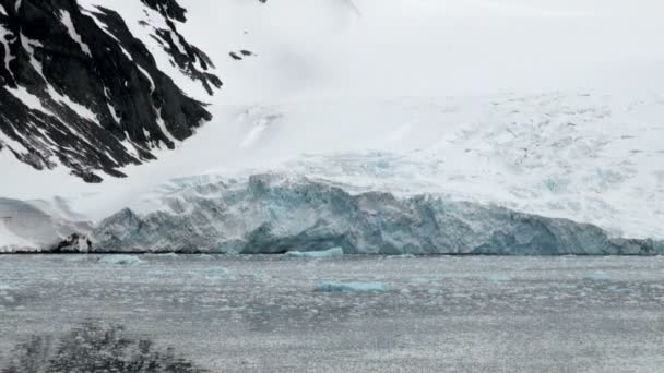 Île King George - Côtes de l'Antarctique avec formation de glace 