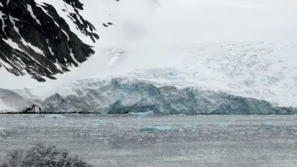 King George Island - Küste der Antarktis mit Eisformationen — Stockvideo