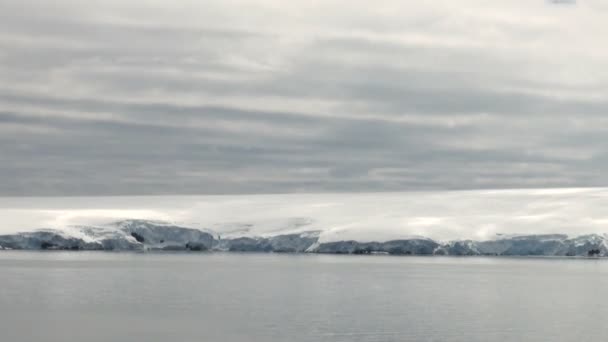 Línea costera de la Antártida - Calentamiento global - Formaciones de hielo — Vídeos de Stock