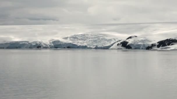 남극-지구 온난 화-얼음 대형의 해안선 — 비디오