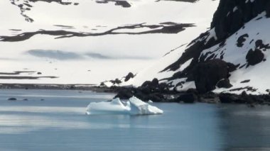 -Küresel ısınma - Antarktika buz oluşumları sahil şeridi