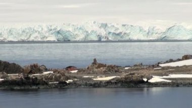 -Küresel ısınma - Antarktika buz oluşumları sahil şeridi