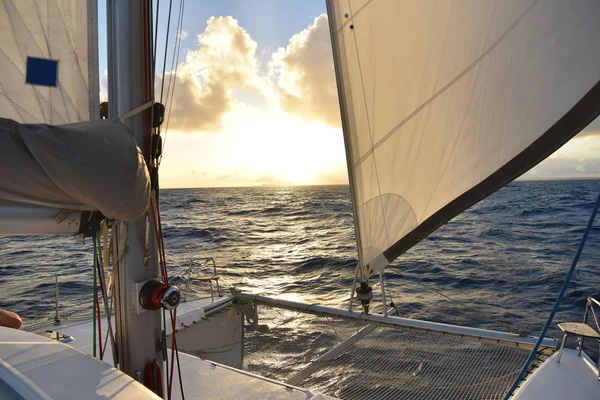 Boat sails open — Stock Photo, Image