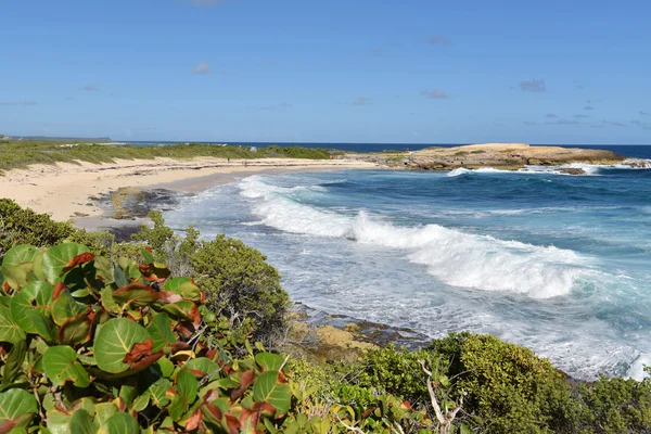 Castillos de la pointe des —  Fotos de Stock