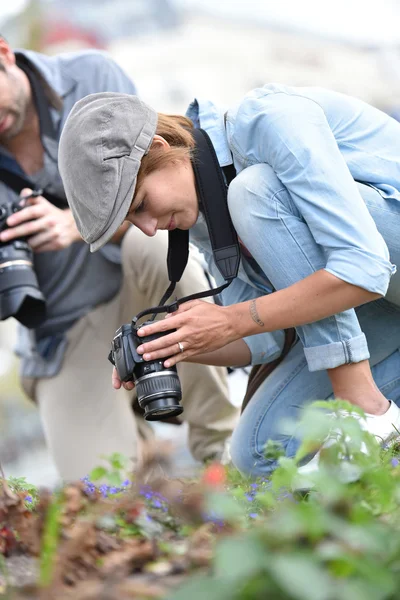 Fotógrafos atirando vegetação — Fotografia de Stock