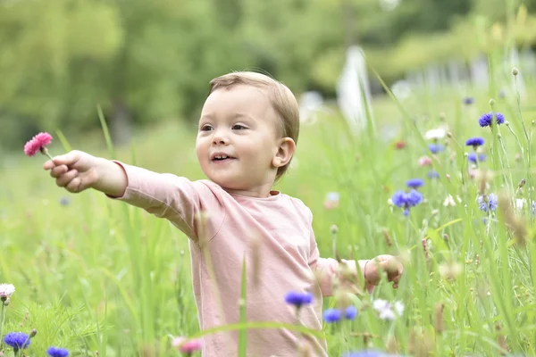 Menina jogando no campo de flores selvagens — Fotografia de Stock