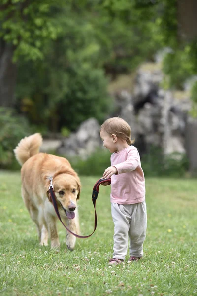 Menina dando uma caminhada para o cão — Fotografia de Stock