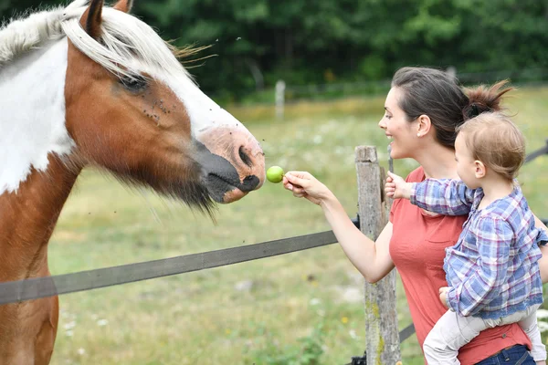 Mutter mit kleinem Mädchen füttert Pferd — Stockfoto