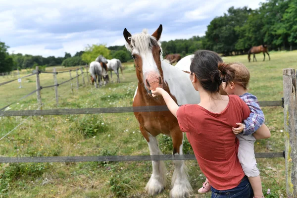 Mãe com menina alimentando cavalo — Fotografia de Stock