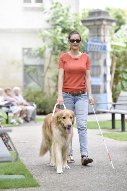 kadın ile köpek parkta yürüyüş