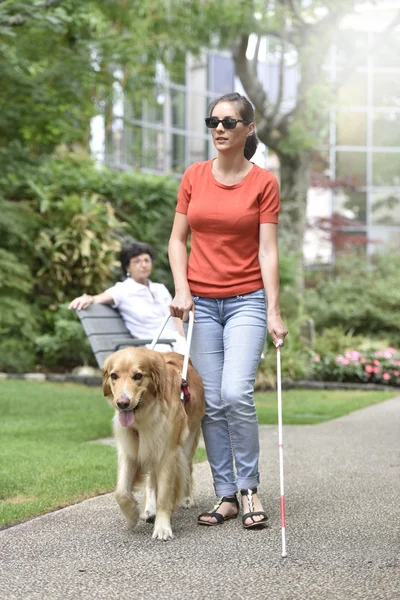 Donna che cammina nel parco con cane — Foto Stock