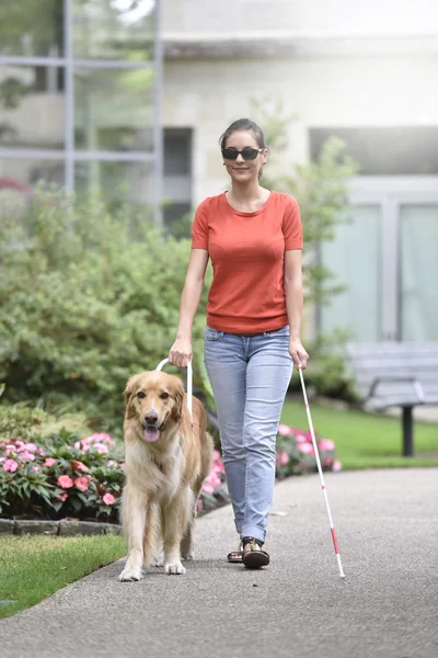 Mulher andando no parque com cão — Fotografia de Stock
