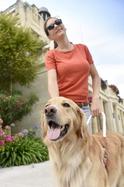 Woman petting her guide dog — Stock Photo, Image