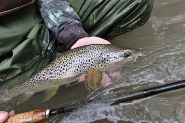 Sinek balıkçı fario alabalık tutan 