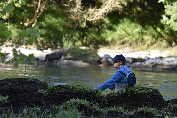 Fliegenfischer angelt im Fluss — Stockfoto