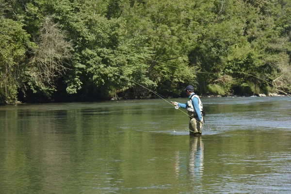 Krull fiske i floden — Stockfoto