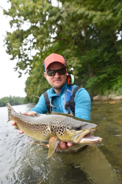 Pescador sosteniendo trucha marrón — Foto de Stock