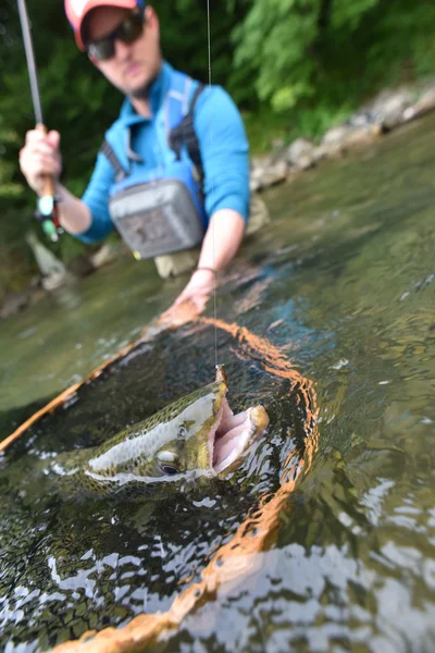 Visser bruine forel vangen — Stockfoto