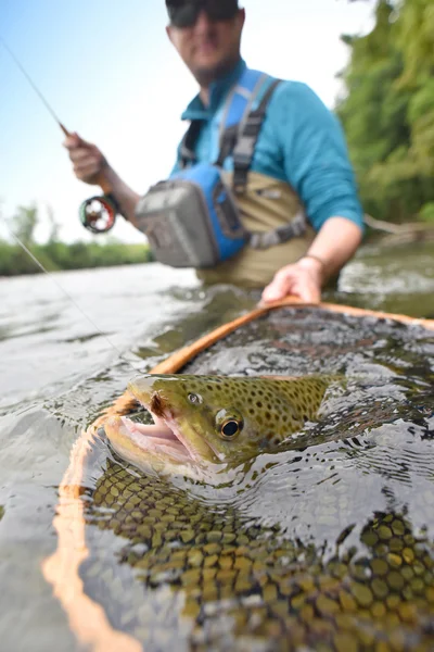 Által flyfisherman fogott pisztráng — Stock Fotó