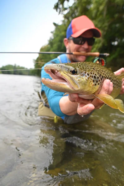 Visser bedrijf bruine forel — Stockfoto