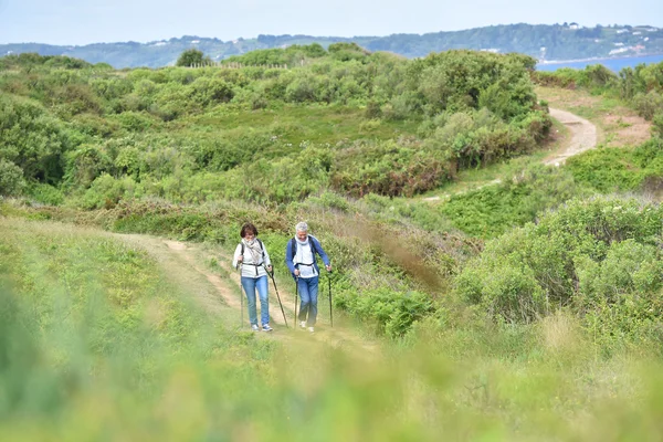 Casal andando na trilha de caminhadas — Fotografia de Stock