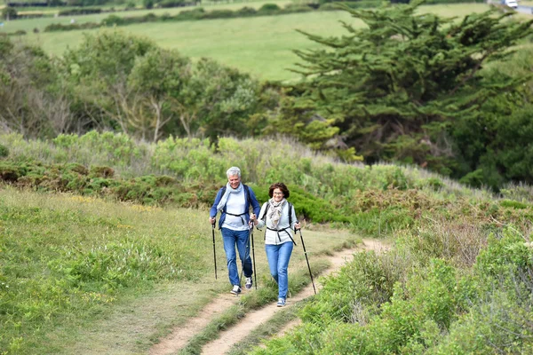 Couple walking on hiking track — Stock Photo, Image