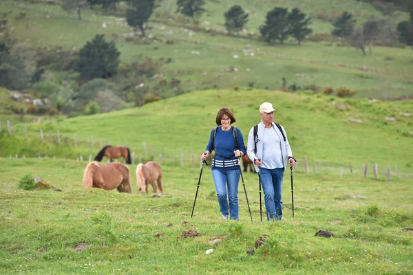 Coppia passeggiando in montagna — Foto Stock