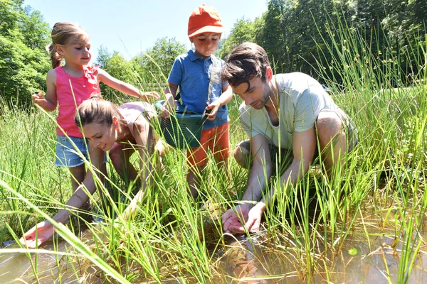 Famille dans le lac à la recherche de têtards — Photo