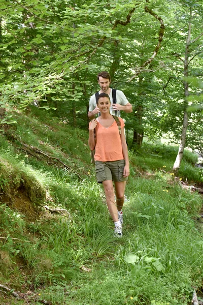 Pareja divagando en camino forestal —  Fotos de Stock