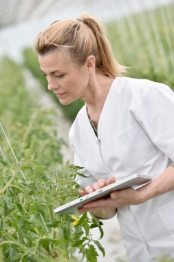 Ziraat Mühendisi analizi, mühendislerimizin bitkiler