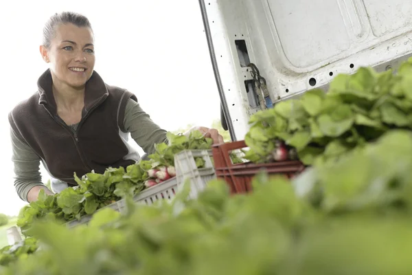 Farmář uvedení přihrádky v autě — Stock fotografie