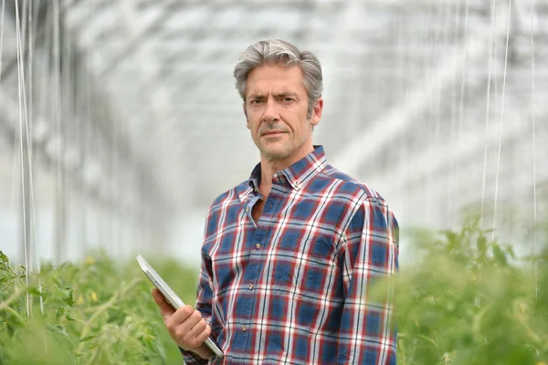 Αγρότης με ψηφιακό tablet στέκεται — Φωτογραφία Αρχείου