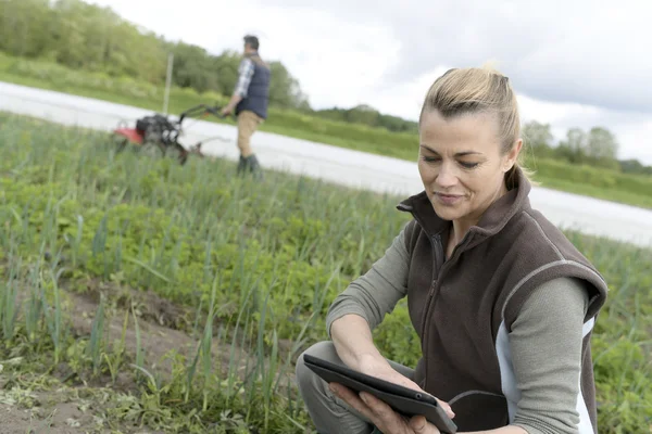 디지털 태블릿을 사용 하 여 농부 — 스톡 사진