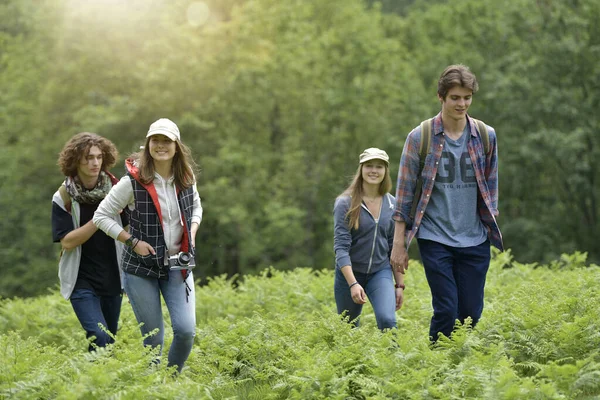 Groupe Amis Lors Une Journée Randonnée — Photo