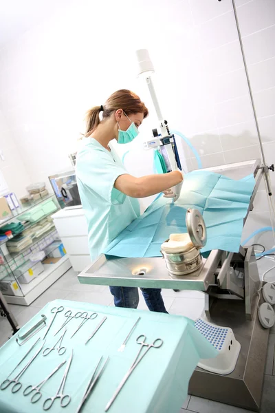 Veterinarian doing surgery on animal — Stock Photo, Image