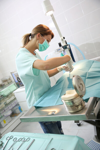 Veterinarian doing surgery on animal