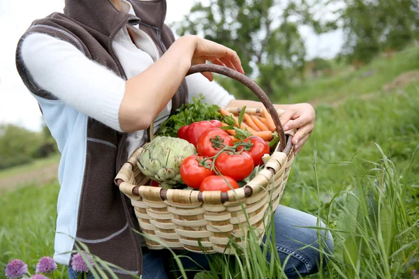 Mujer sosteniendo cesta llena de verduras —  Fotos de Stock