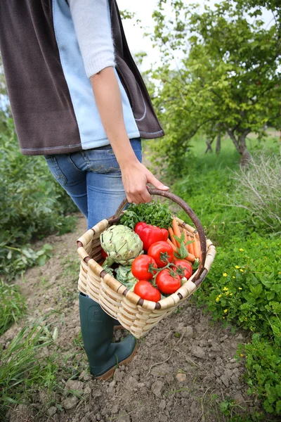 Woman holding basket full of vegetables — Stock Photo, Image