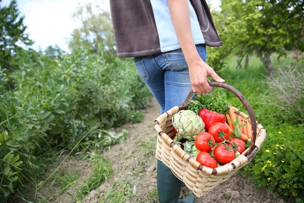 Kvinna innehav korg full av grönsaker — Stockfoto