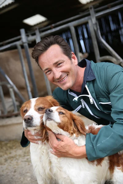 Breeder petting dogs outside barn — Stock Photo, Image