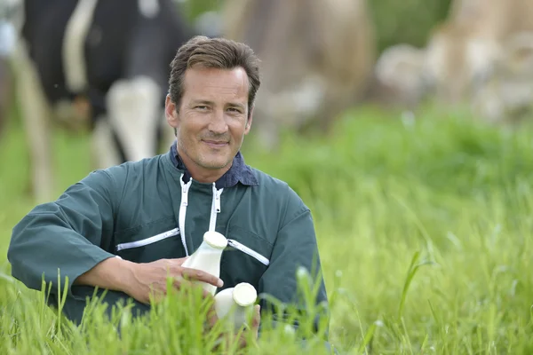 Agricultor em exploração de campo garrafas de leite — Fotografia de Stock