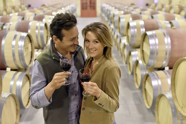 Oenologists tasting red wine — Stock Photo, Image