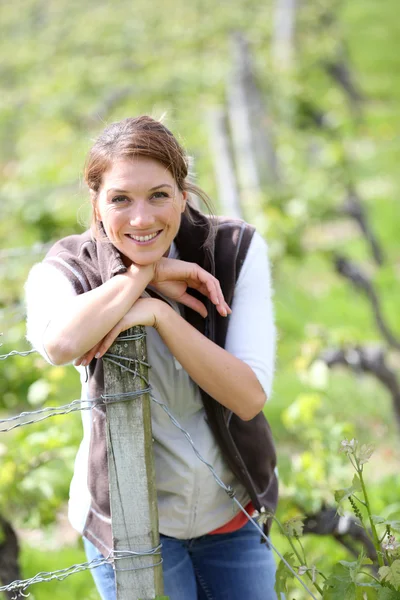 Bäuerin steht im Weinberg Stockbild