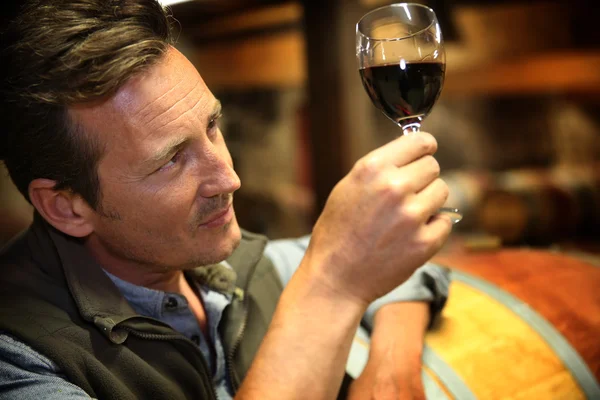 Winegrower holding glass of wine — Stockfoto