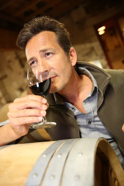 Vinicultor segurando copo de vinho — Fotografia de Stock