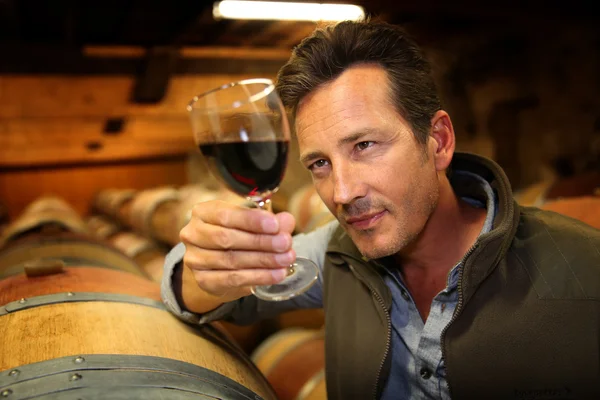 Winegrower holding glass of wine — Stockfoto