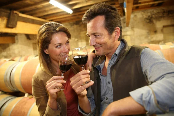 Oenologists tasting red wine — Stock Photo, Image